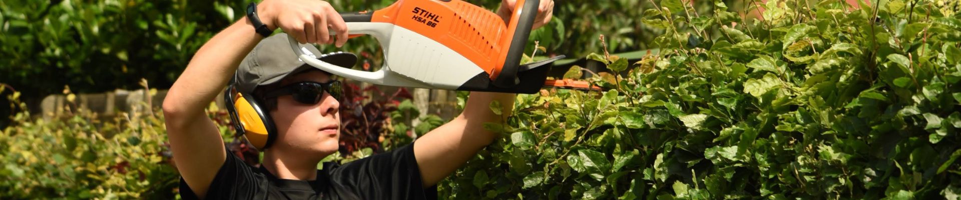 Tree Trimming Sydney
