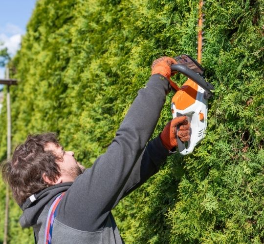 Tree Trimming Hurstville