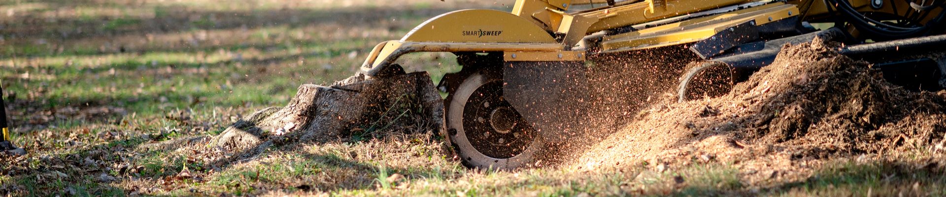 Stump Grinding Near Me
