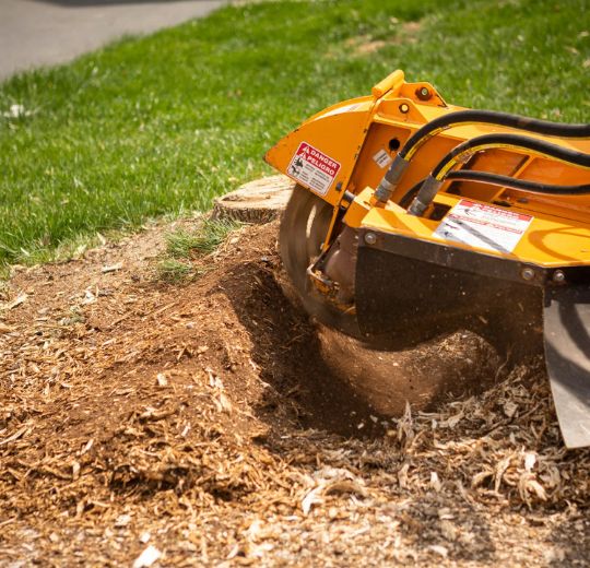 Stump Grinding Services Near Me