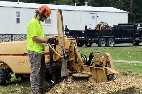 Stump Removal Services Near Me