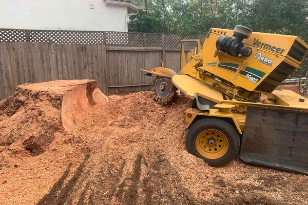 Stump Grinding Near Me