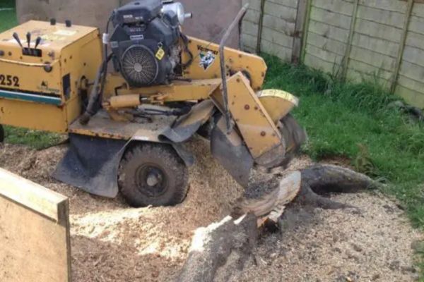 Stump Removal Near Me