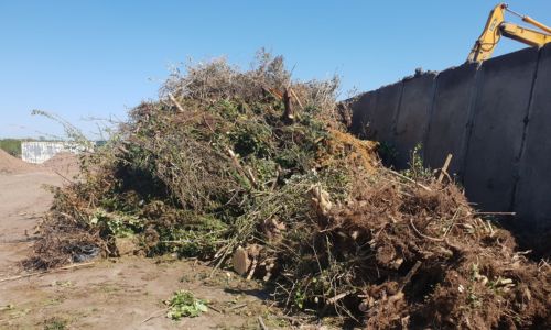 Garden Rubbish Removal Near Me