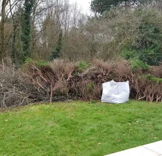 Garden Waste Collection Near Me