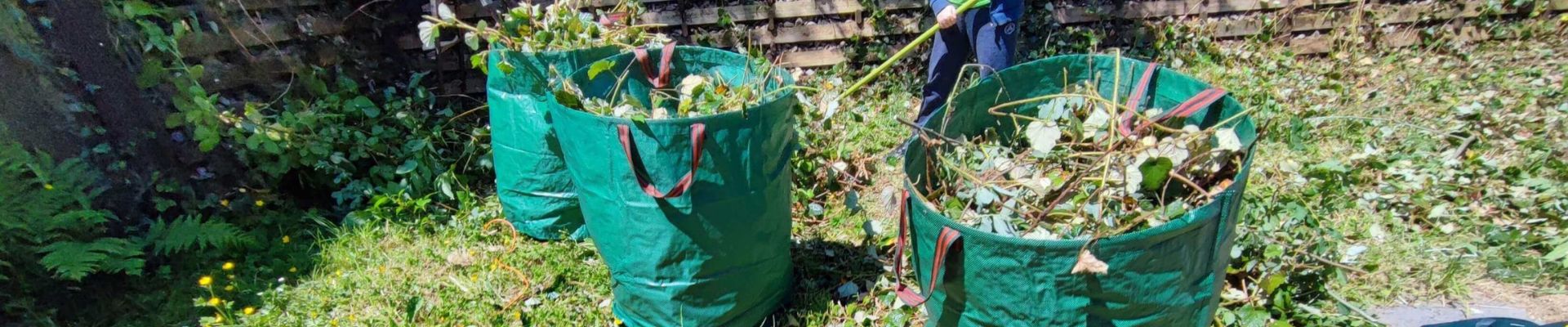 Green Waste Removal Near Me